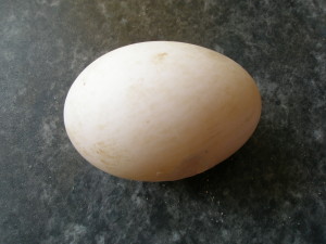 A beautiful duck egg - thanks, Liz xx