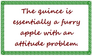 Quince quote