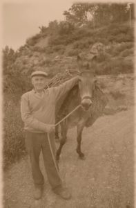 Man & donkey sepia