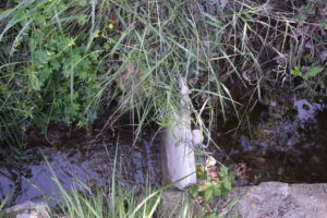 The acequia on the right is closed off by a marble sluice gate. Some still leaks through to the mud channel on the left